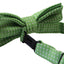 Boys Light Green Bow Tie With White Polka Dots