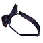 Boys Navy With Red Stripes Patterned Bow Tie