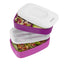 5 x Bentgo All-In-One Lunch Box Container Storage Purple