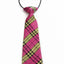 Kids Boys Pink Patterned Elastic Neck Tie - Criss Cross Gold