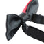 Boys Red Two Tone Layer Bow Tie