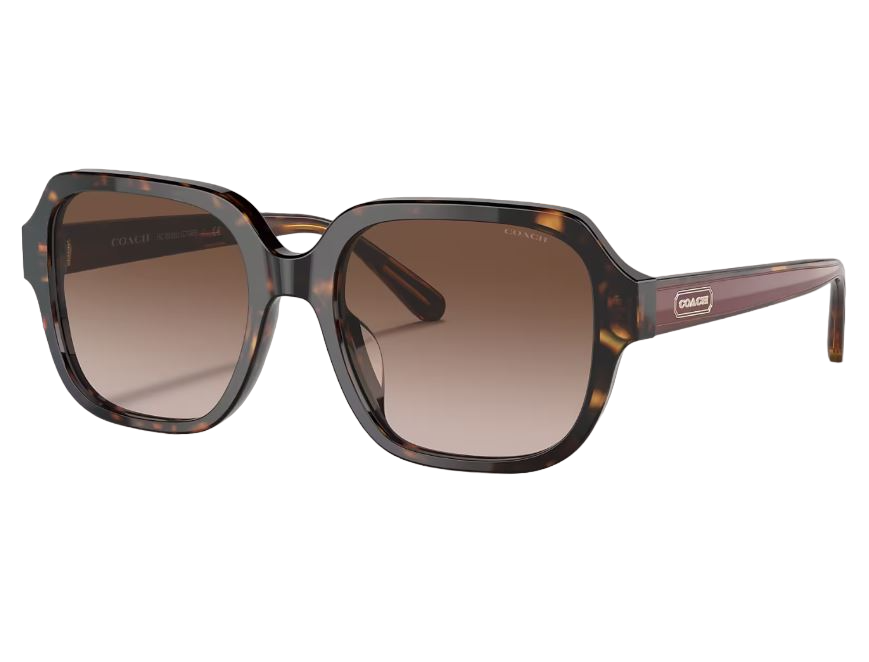 Womens Coach Sunglasses Ch8335u Dark Tortoise/ Brown Sunnies