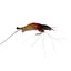 60 X Plastic Fishing Lures Soft Tackle Prawn Shrimp Flathead Bream Cod Bass Glow