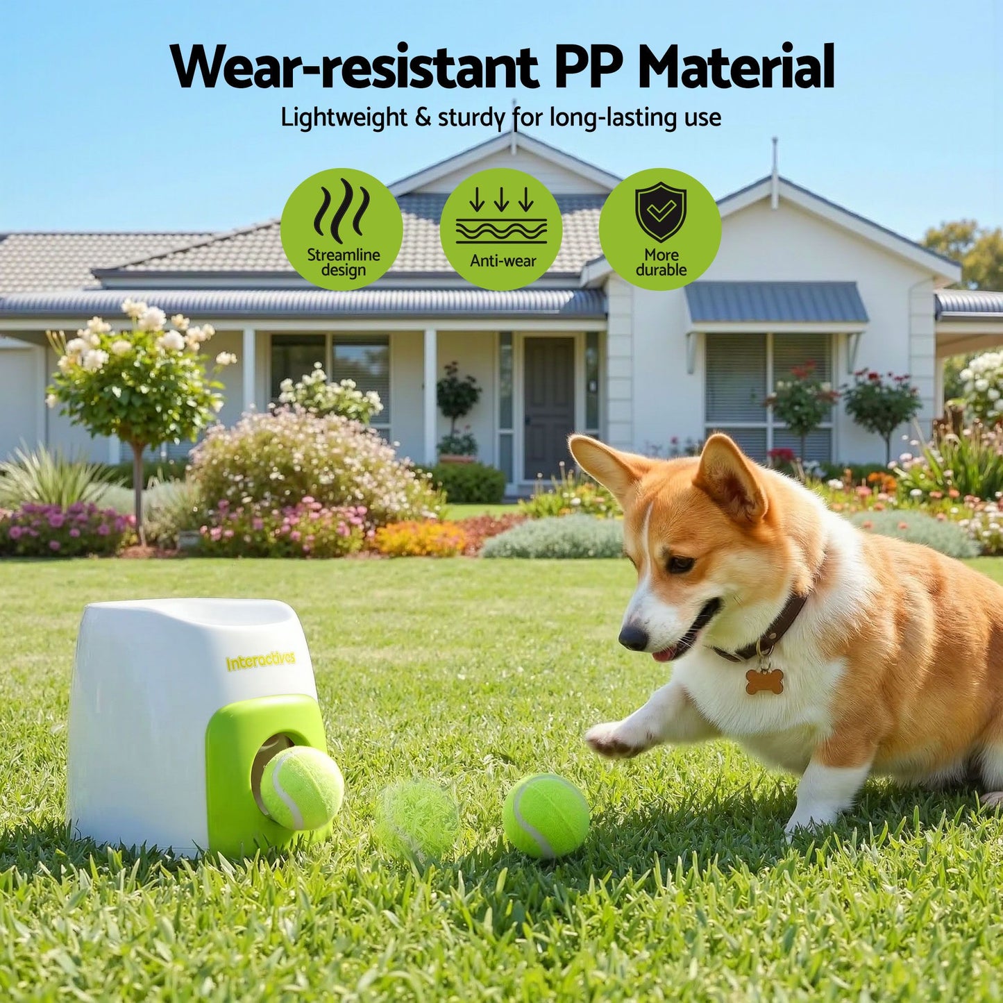 PET-DOG-2BALL-FEED-GN-03.jpg