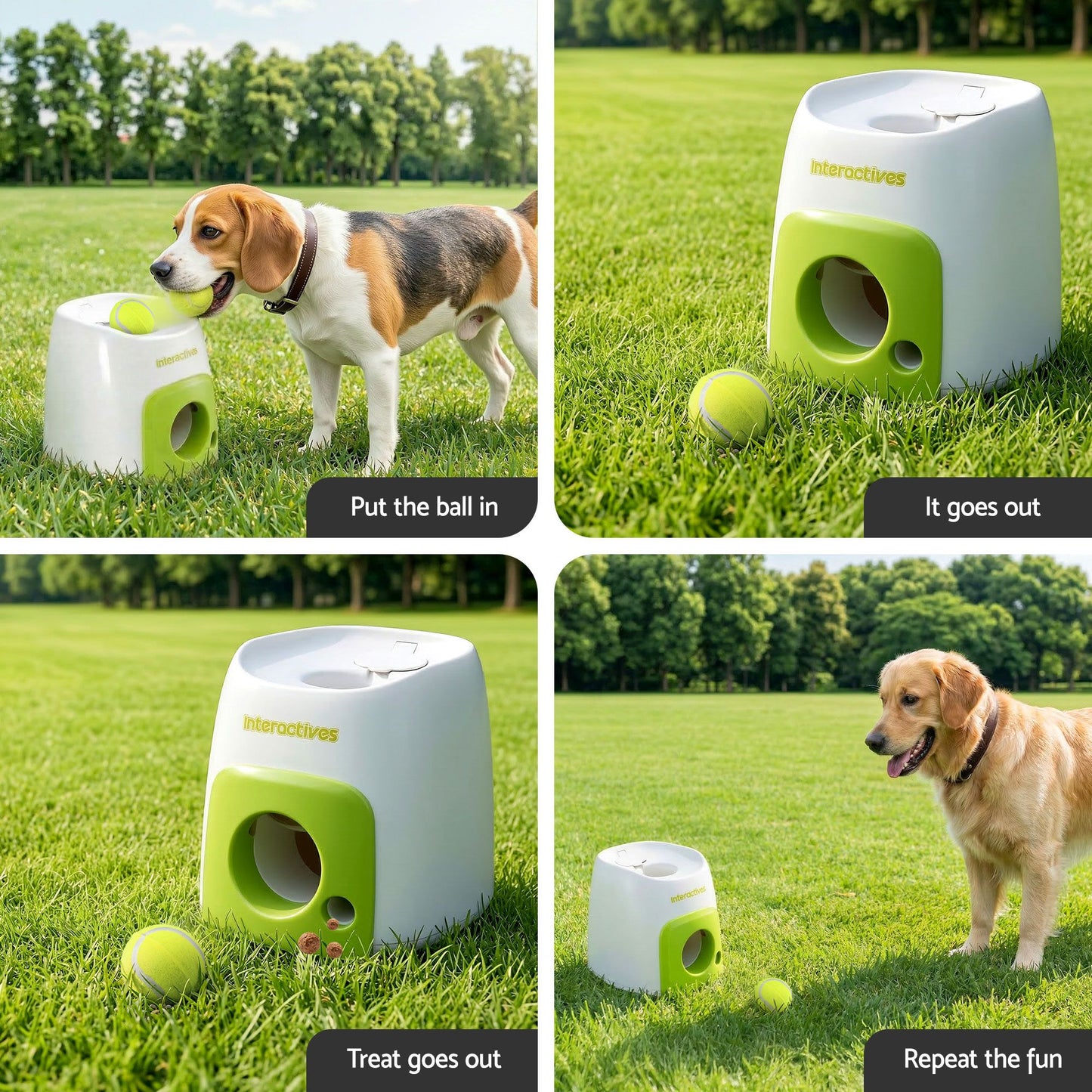 PET-DOG-2BALL-FEED-GN-06.jpg