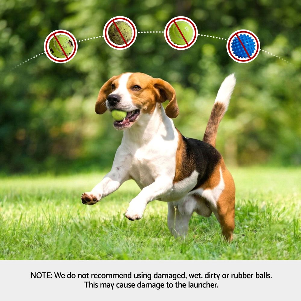 PET-DOG-2BALL-FEED-GN-08.jpg