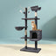 PET-CAT-FL08-GR-16630-07.jpg