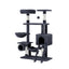 PET-CAT-PCT63N-GR-87467-00.jpg