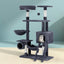 PET-CAT-PCT63N-GR-87467-06.jpg