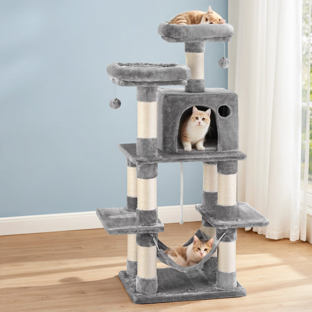 PET-CAT-706FSB-LTGR-202506111511-06.jpg