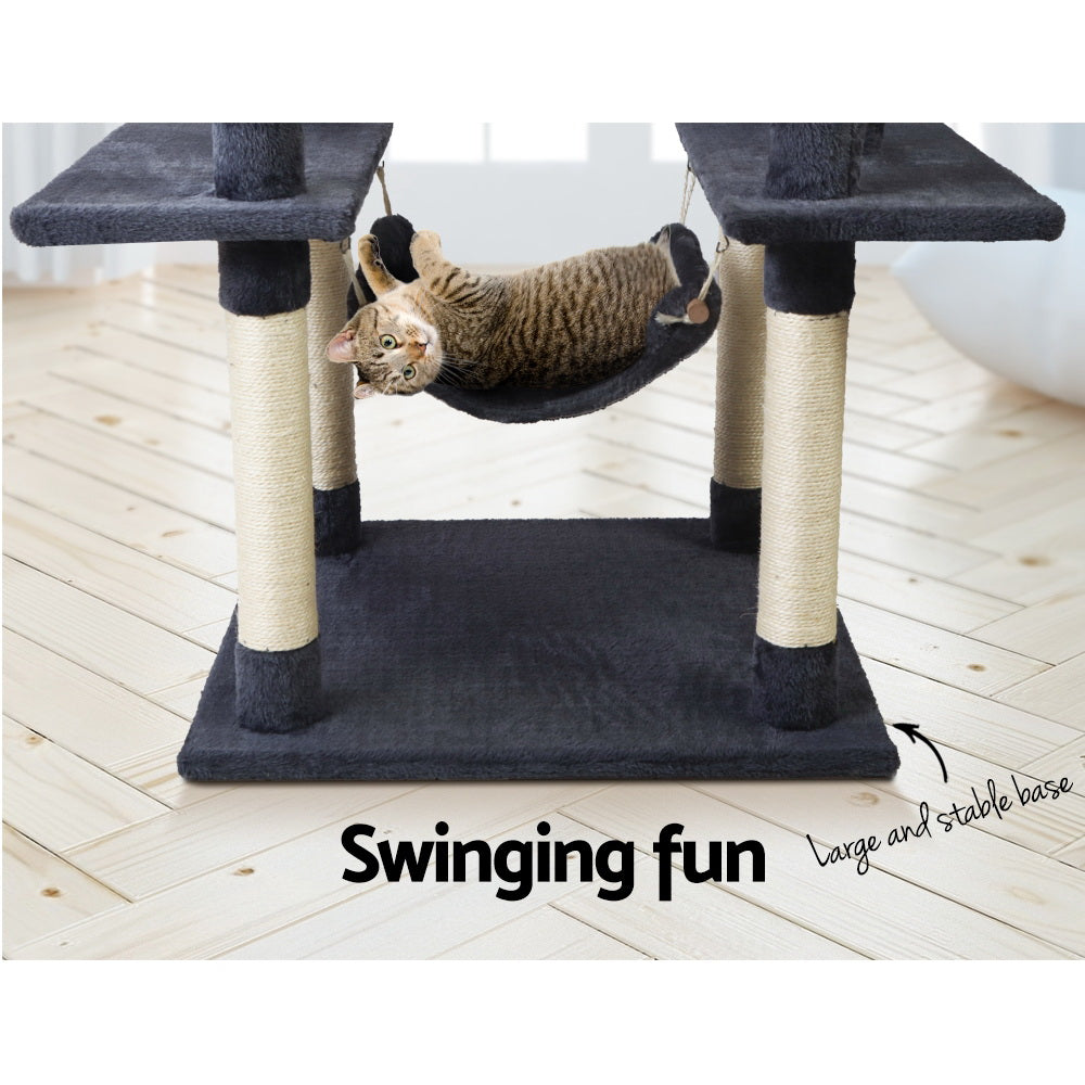 PET-CAT-FL09-GR-16631-06.jpg
