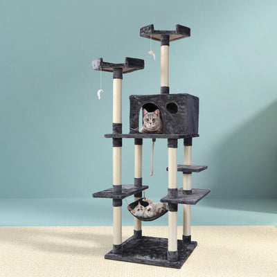 PET-CAT-FL09-GR-16631-07.jpg
