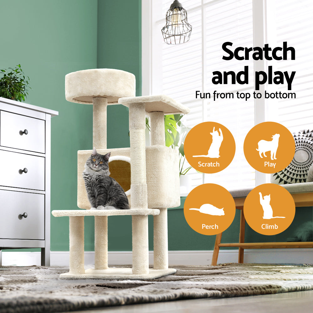 PET-CAT-APS014-BE-48891-03.jpg