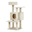 PET-CAT-APS014-BE-48891-00.jpg