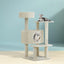 PET-CAT-APS014-BE-48891-06.jpg