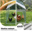 PET-CHICK-CAGE-3X1-06.jpg