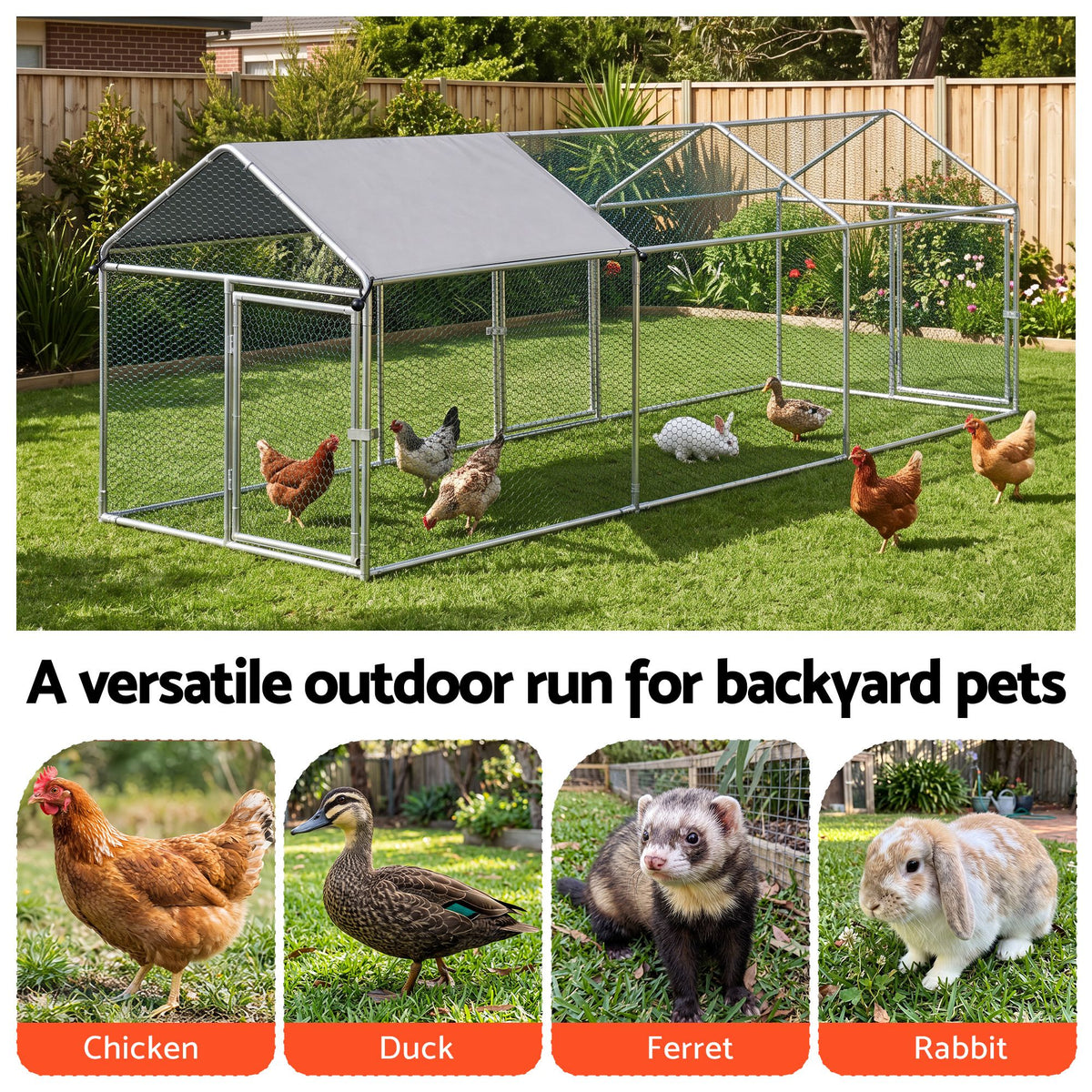 PET-CHICK-CAGE-3X1-08.jpg