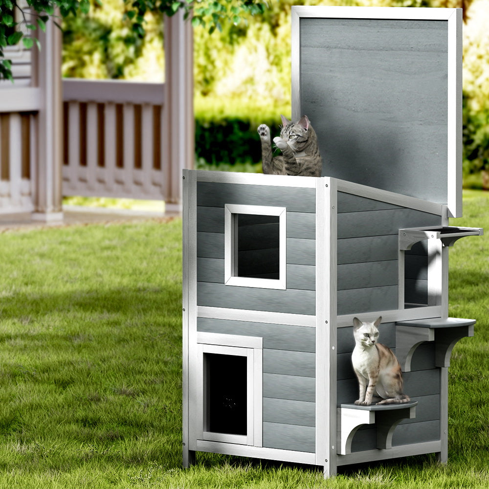 PET-CH-81-GR-95254-04.jpg