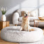 PET-BED-D110-WHBR-24567-07.jpg