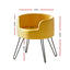 PET-SBED-VEL-YE-97957-01.jpg