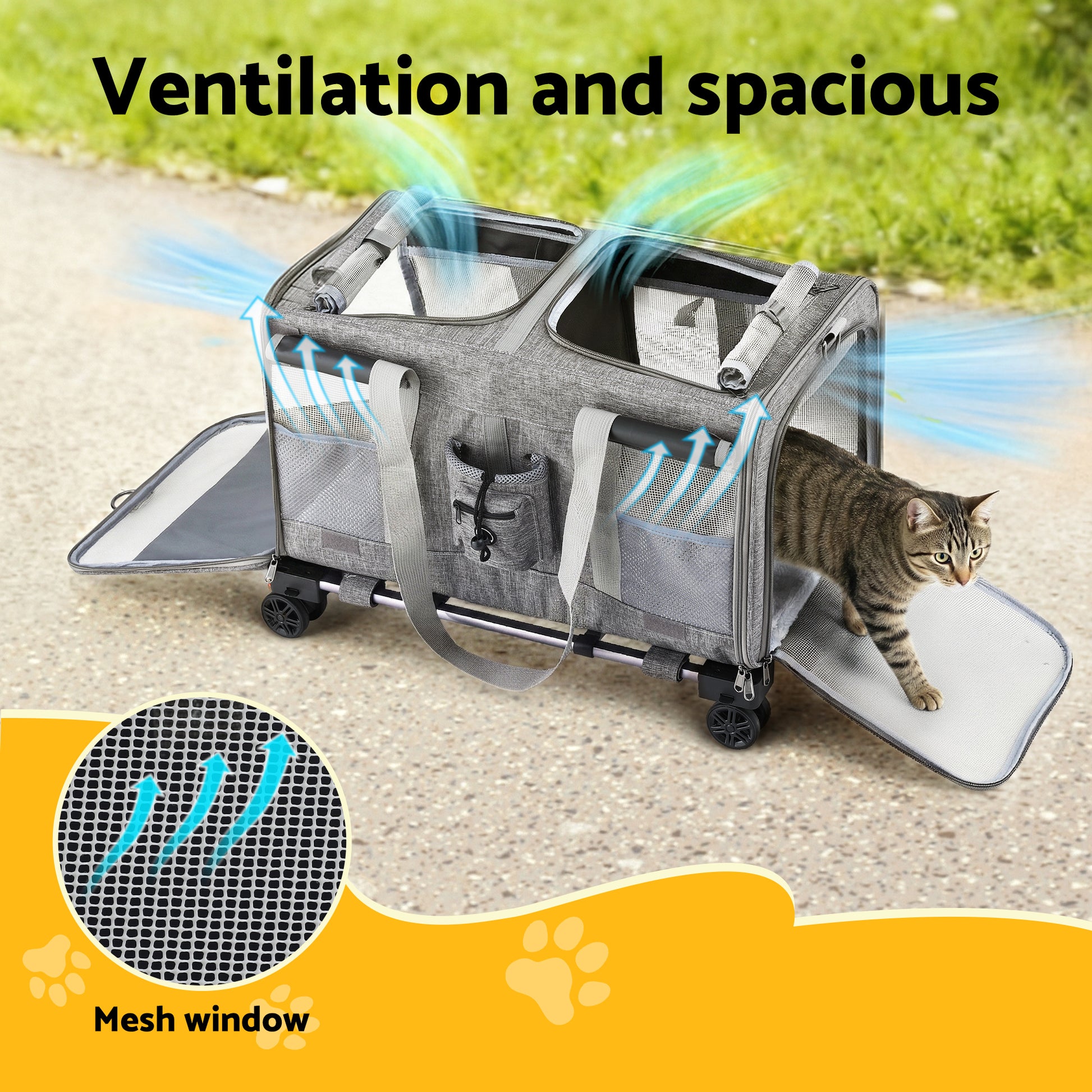 PET-CARRIER-WL60X38-GR-202512042052-03.jpg