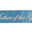 Sashes Hens Sash Party Light Blue/Silver - Mother Of The Groom