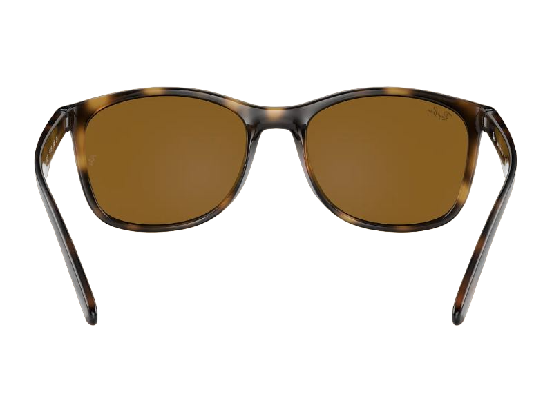 Unisex Ray Ban Sunglasses Rb4374 Havana Brown Sunnies