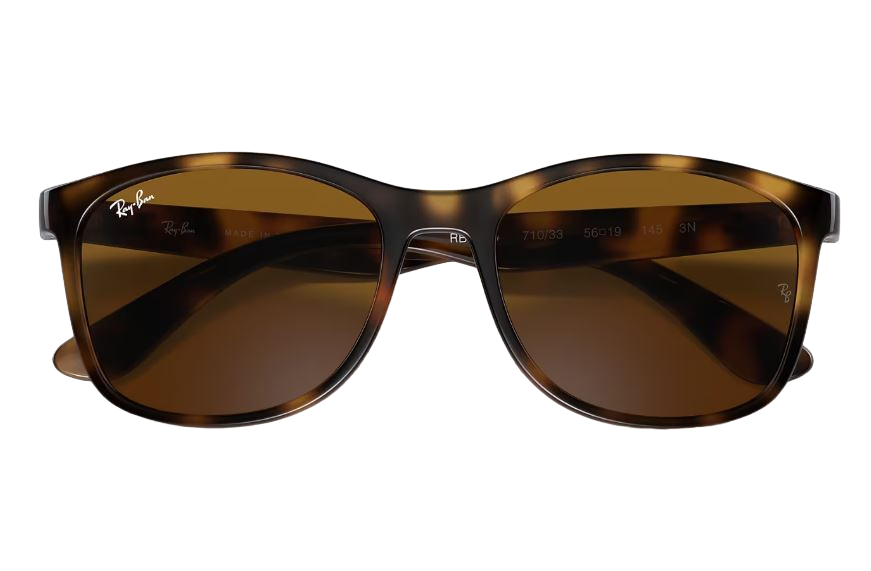 Unisex Ray Ban Sunglasses Rb4374 Havana Brown Sunnies