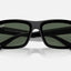 Unisex Ray Ban Sunglasses Rb4396 Warren Bio-Based Black/ Dark Green Sunnies - L