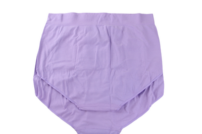 8 Pairs X Bonds Womens Seamless Full Brief Underwear Violet