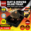 SAS Pest Control 48PCE Rat Mouse Control Extra Large & Strong  26 x 13.5cm