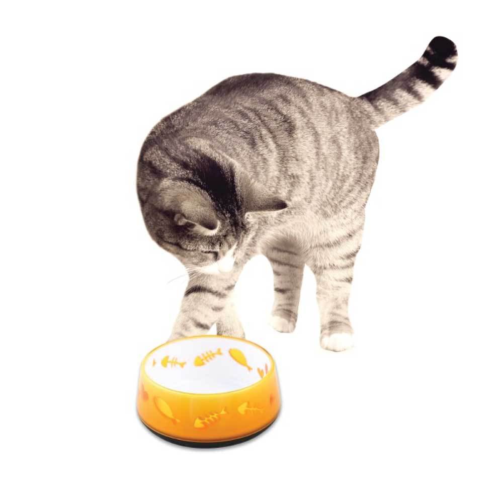 300ml Cat Bowl Orange Love - AFP Kitten Pet Food Water Feeding Anti Slip Dish-All For Paws-ozdingo